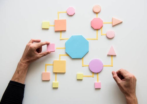 Organization